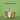 Difford's Margarita Bundle: Tommy's Margarita